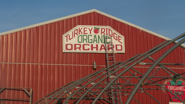 Turkey Ridge Orchard