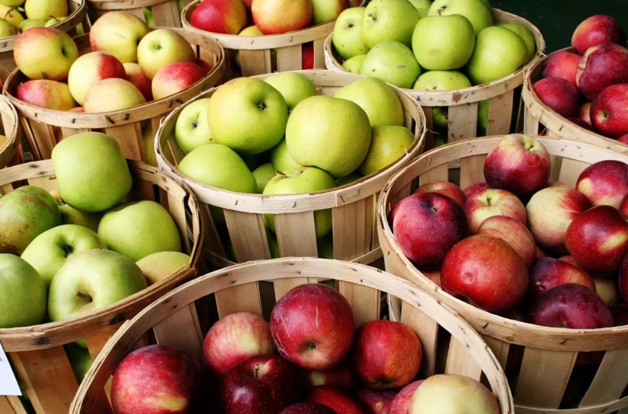 Apple Festival - Gays Mills, WI