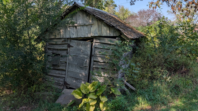 Matti Hen House 2025